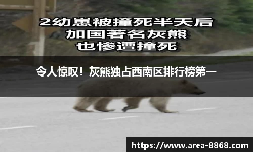 令人惊叹！灰熊独占西南区排行榜第一