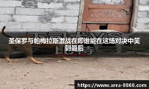 8868体育网页版网址